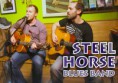 /album/steel-horse/a10669073-676293782484524-2816352552684338881-o-jpg/